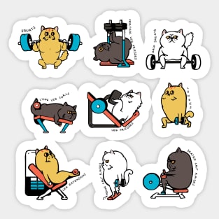 Leg Day with Cat Cat Sticker